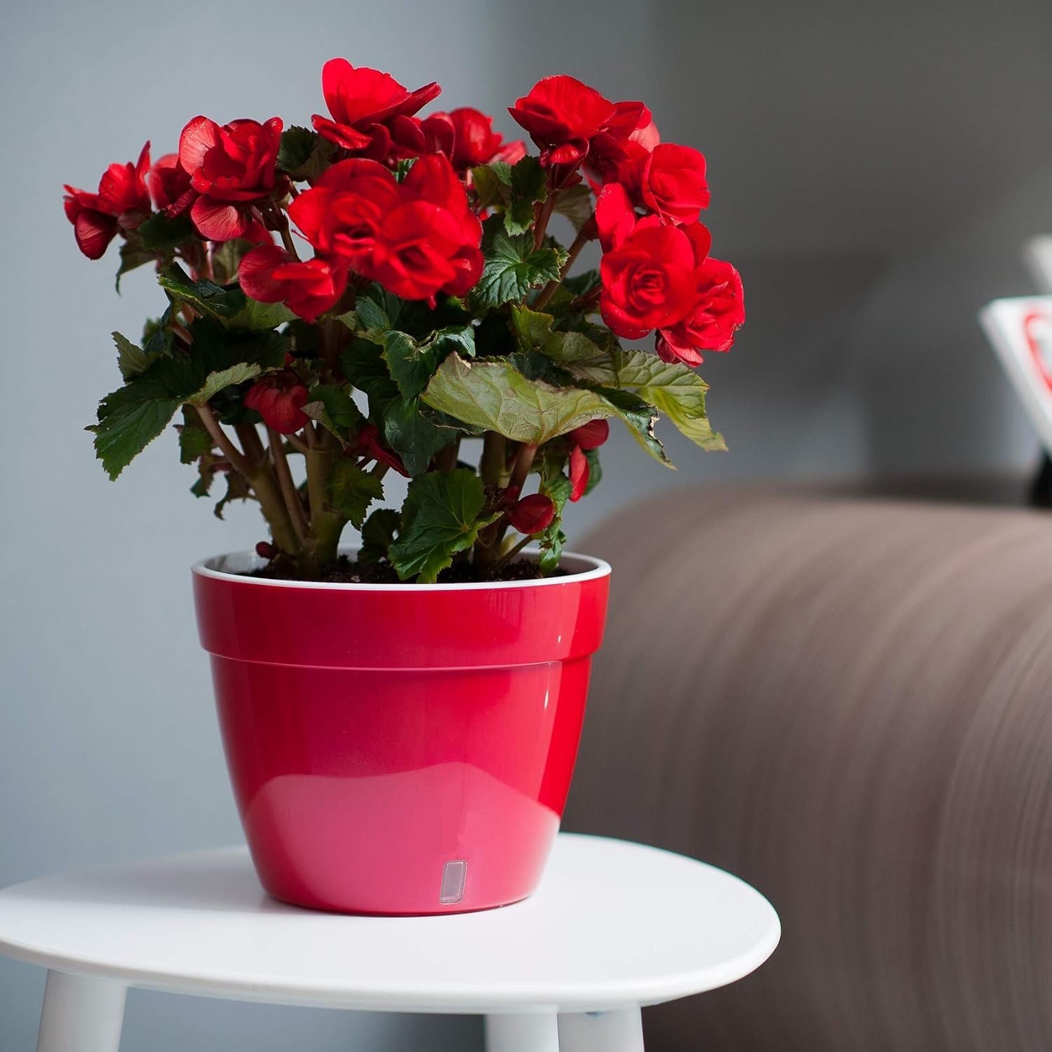 3 Pack - Self Watering Planter - Modern Flower Pot with Water Level Indicator - Image 4