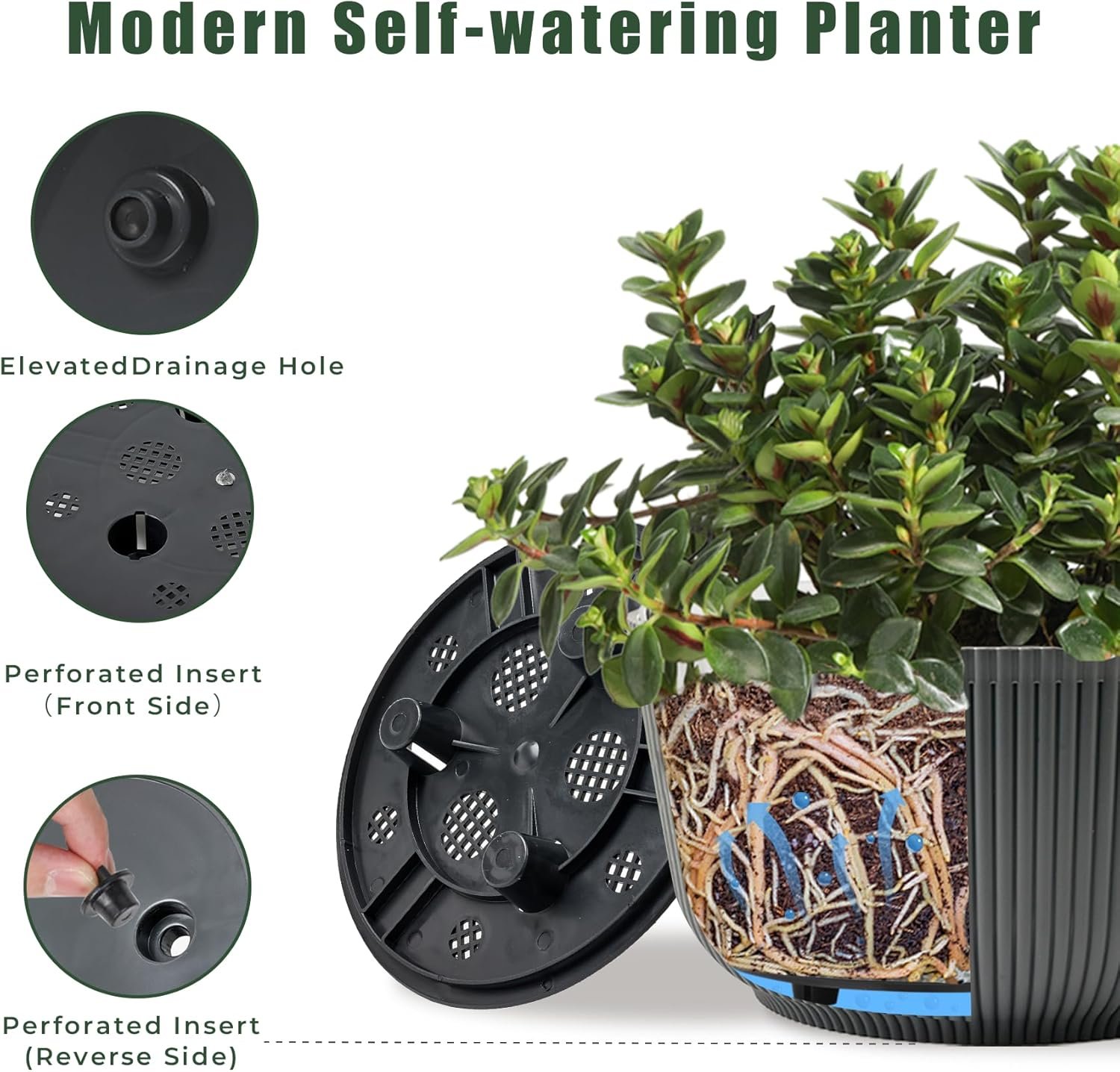 8 Inch Plant Pots, 2 Pack Self Watering Planter with Drainage Hole - Image 3