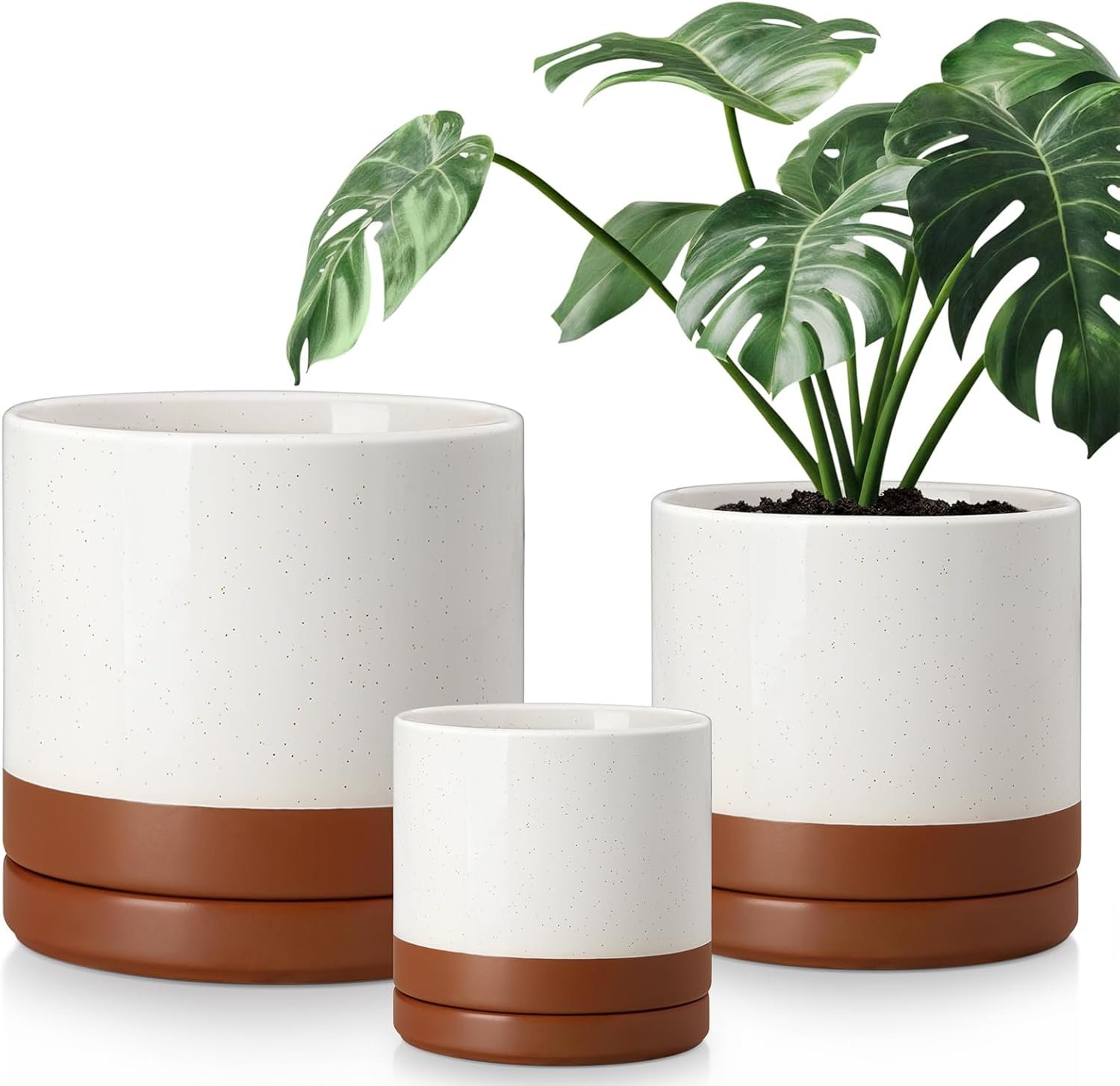 Ceramic Pots for Plants, Plant Pots for Indoor Plants