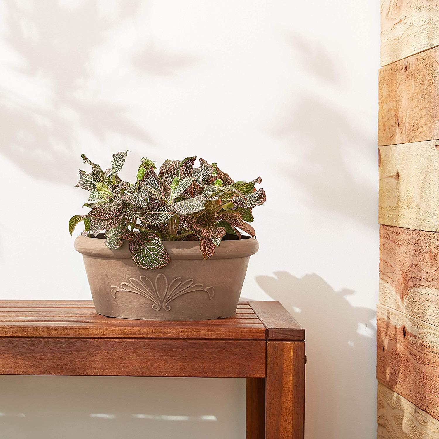 PSW Pot  Shallow Bulb Pan Planter Dish Low Bowl for Succulents - Image 6